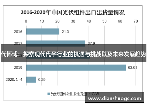代怀博：探索现代代孕行业的机遇与挑战以及未来发展趋势